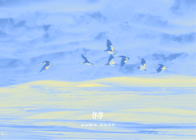 尔尔-15